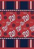 Washington Nationals OFFICIAL MLB Twin Bed In Bag Set